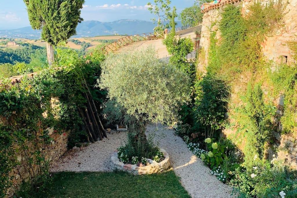 Il Borgo Di Olive Hotel Sismano Exterior photo