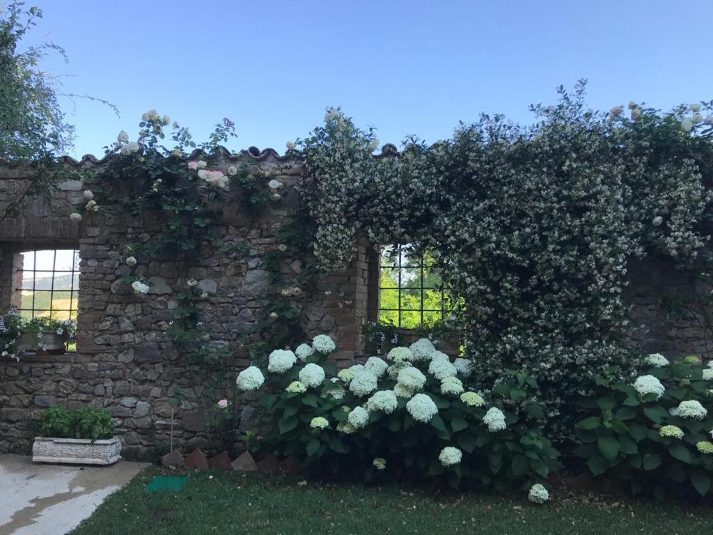Il Borgo Di Olive Hotel Sismano Exterior photo